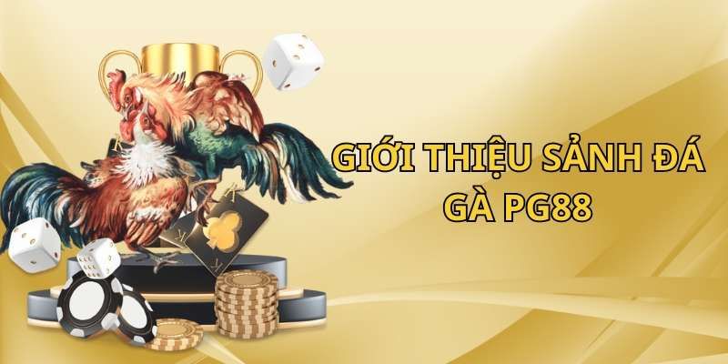 Đá gà PG88 - Điểm chơi lý tưởng dành cho bet thủ